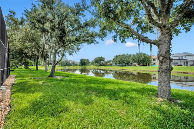 a view of a park with a tree