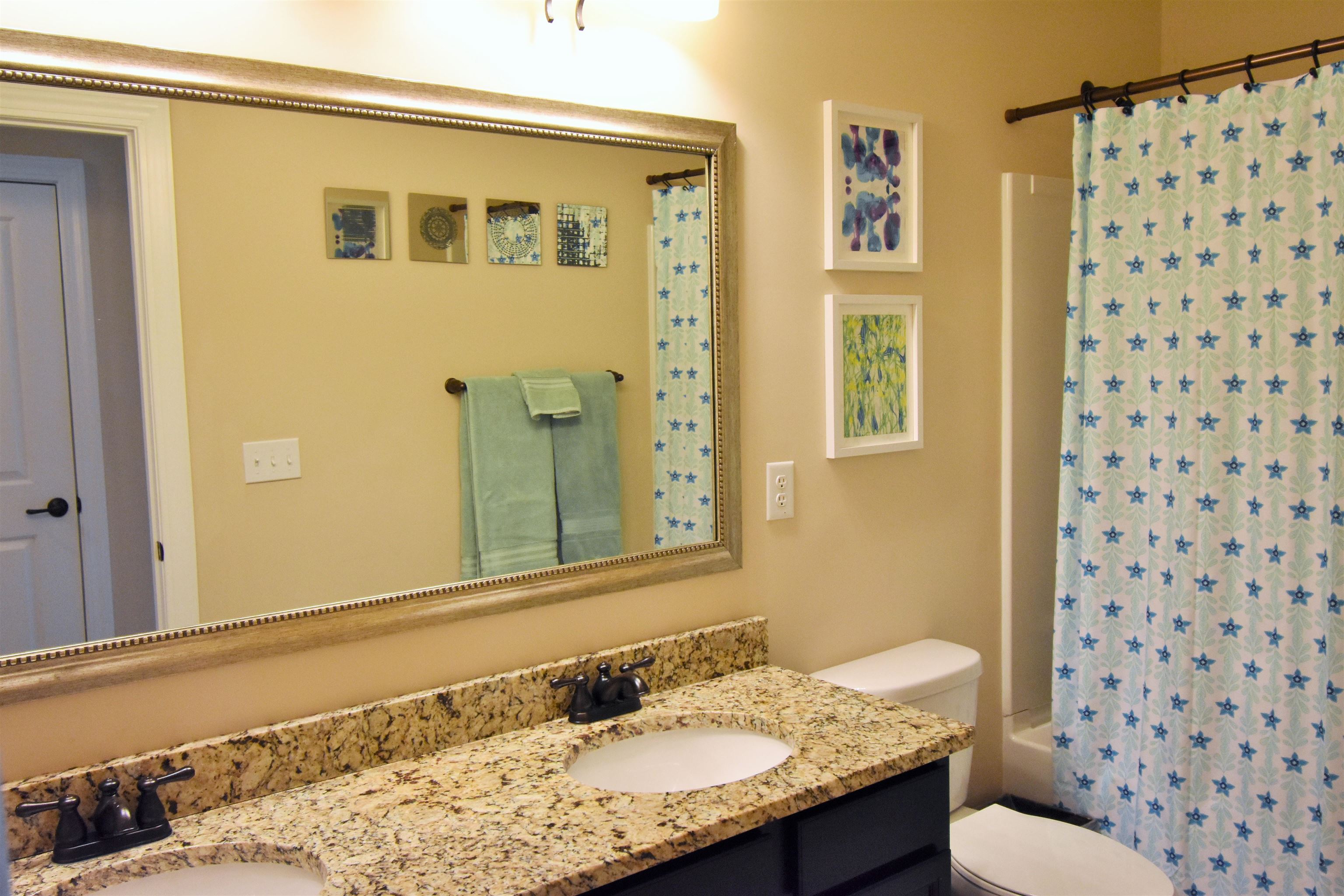 413 Chillingham Court Fountain Inn, SC 29644 - Photo 32 of 36 Gallery Image 32