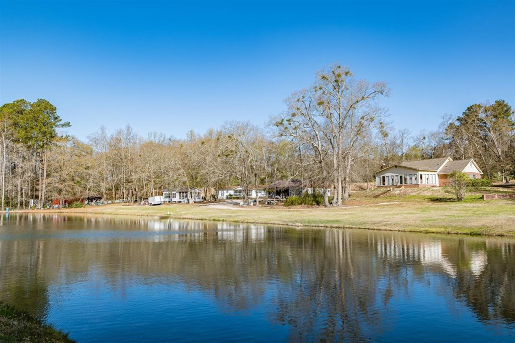 263 Greenville Road Warrenville, SC 29851 - Photo 8 of 42