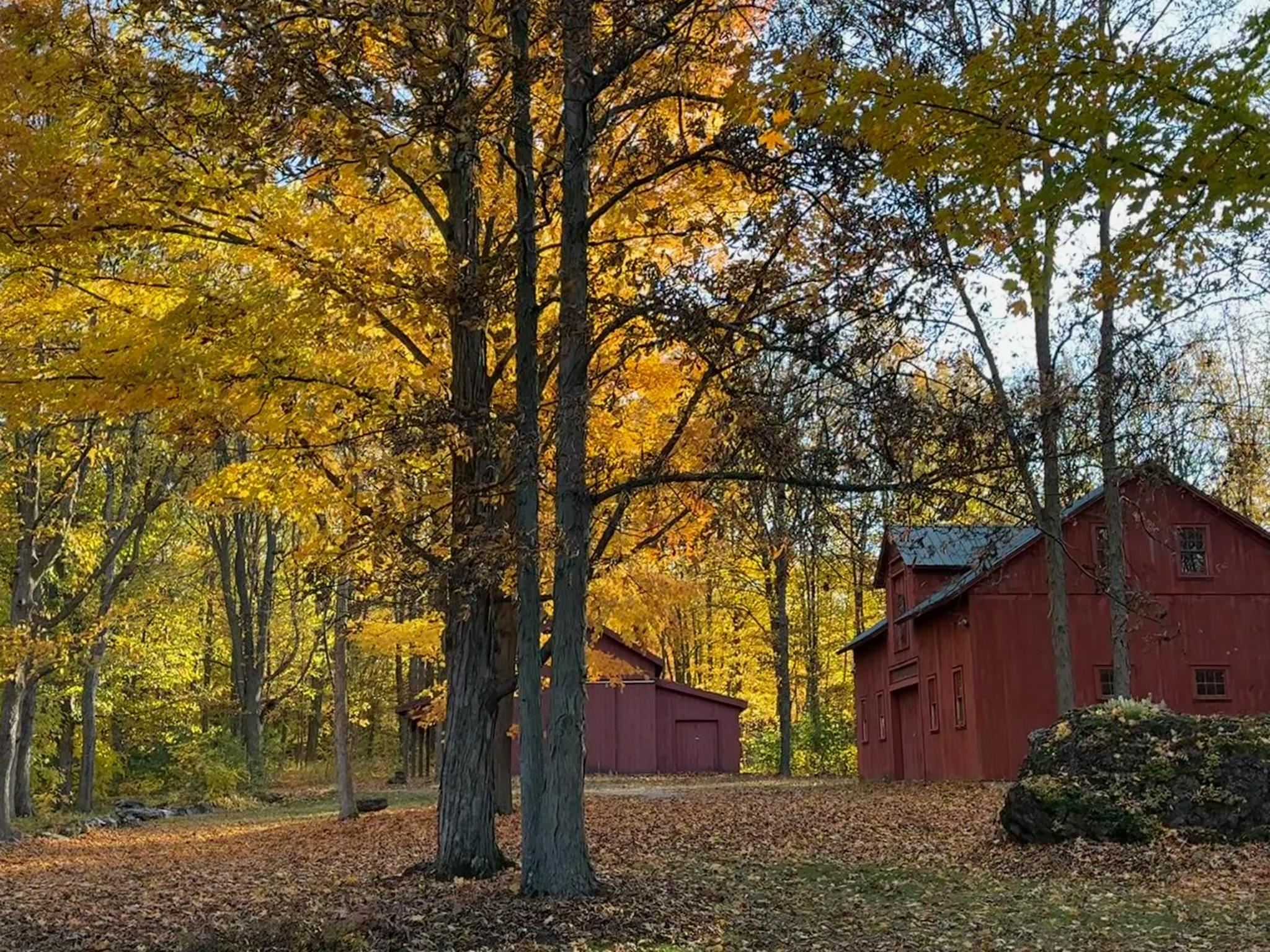860 West Street Cornwall, VT 05753 - Photo 55 of 57
