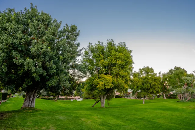 a view of a swimming pool with a lawn chairs