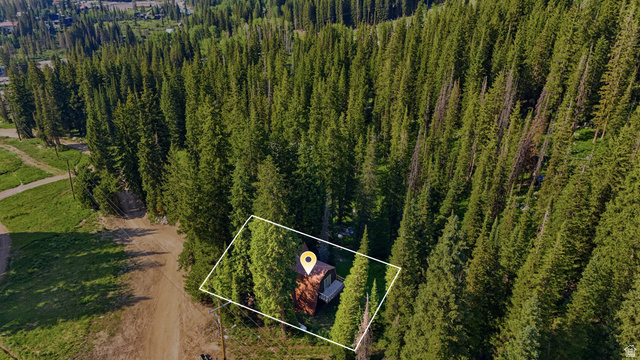 8505 South Snake Crk Road Salt Lake City, UT 84121 - Photo 1 of 67 Secluded cabin nestled within a dense evergreen forest