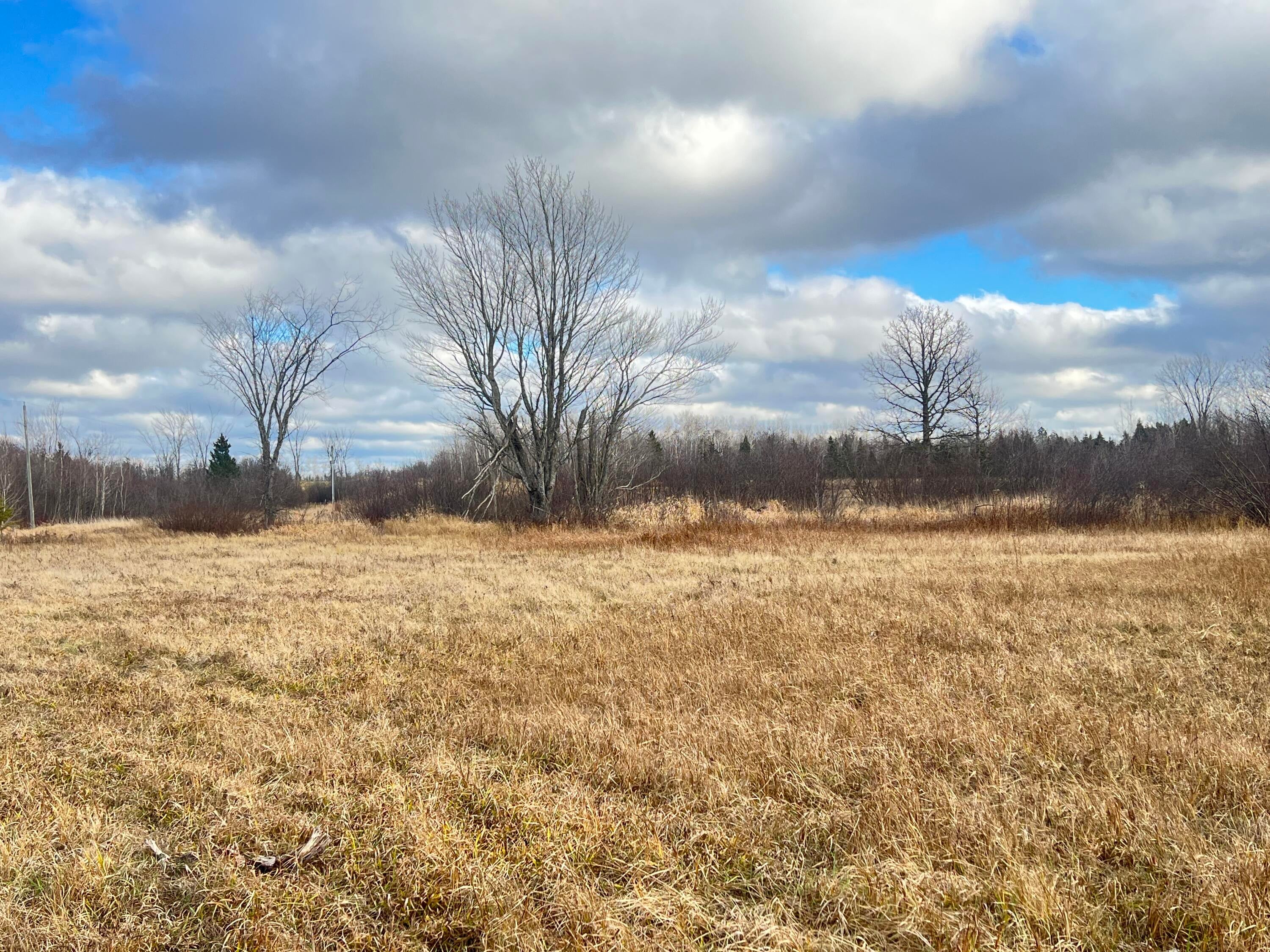 14411 South Ridge Road Dafter, MI 49724 - Photo 3 of 5 Gallery Image 3