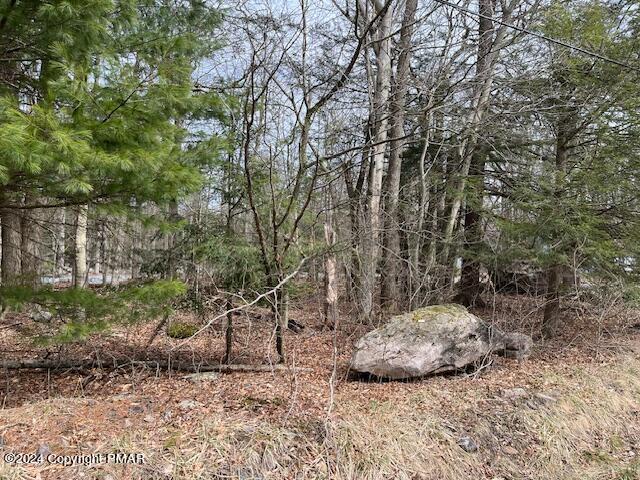 1507 Evergreen Road Pocono Pines, PA 18350 - Photo 1 of 7 a view of a backyard of a house