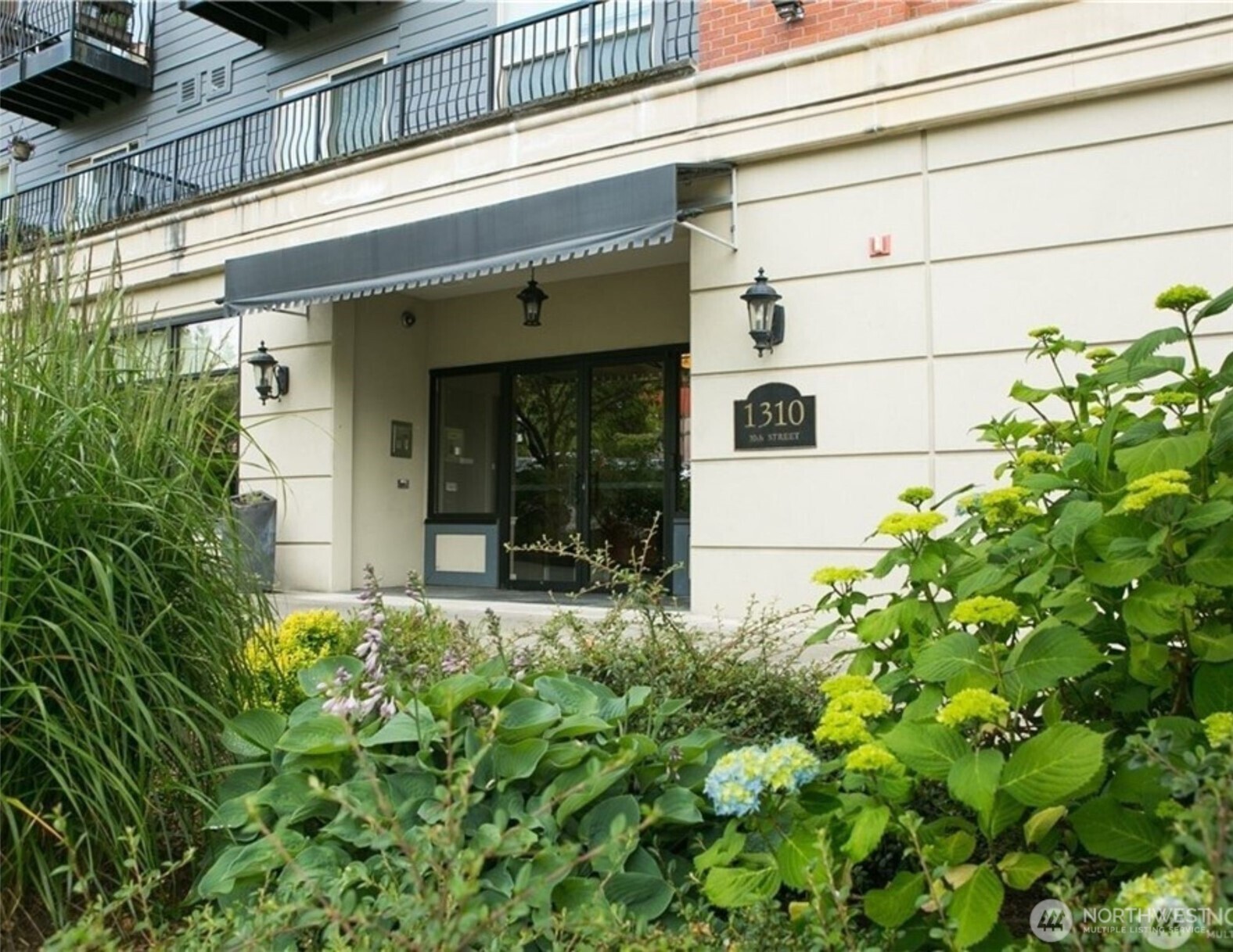 1310 10th Street, Unit 408 Bellingham, WA 98225 - Photo 8 of 33 a potted plant in front of a window