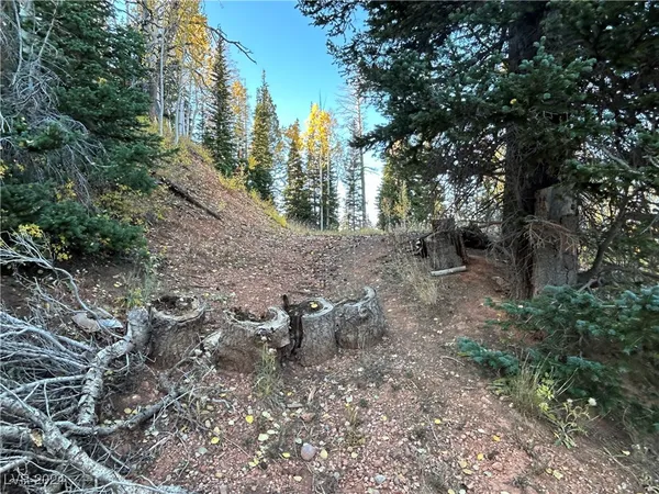 $75,000 | 660 West Ski View Drive, Brian Head, UT 84719