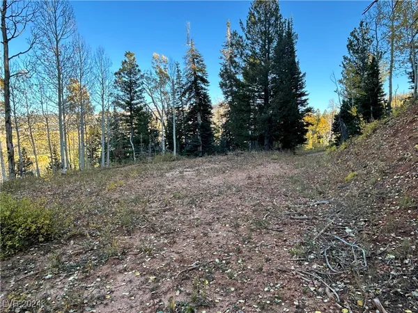 $75,000 | 660 West Ski View Drive, Brian Head, UT 84719