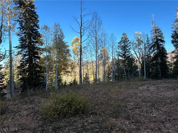 $75,000 | 660 West Ski View Drive, Brian Head, UT 84719