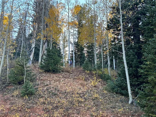 $75,000 | 660 West Ski View Drive, Brian Head, UT 84719