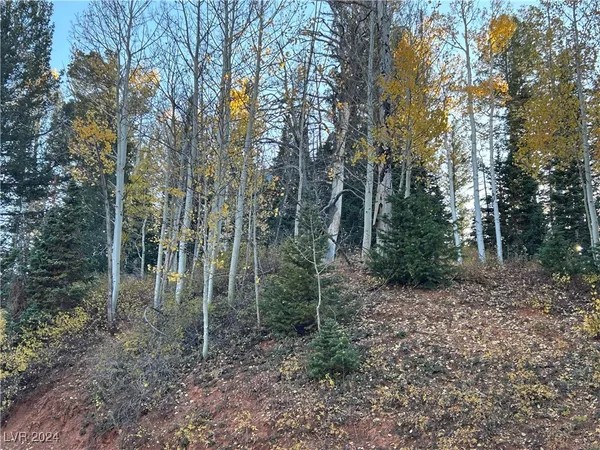 $75,000 | 660 West Ski View Drive, Brian Head, UT 84719