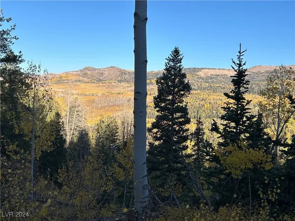 $75,000 | 660 West Ski View Drive, Brian Head, UT 84719