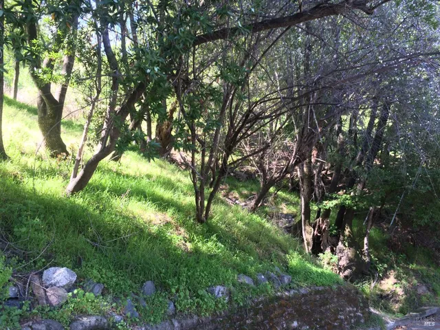a backyard of a house with lots of green space