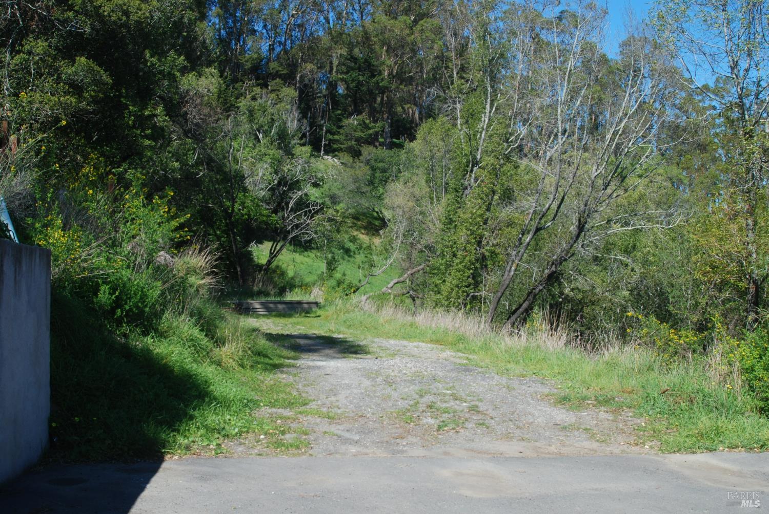0 Fair Drive San Rafael, CA 94901 - Photo 7 of 11 a view of a forest with a tree