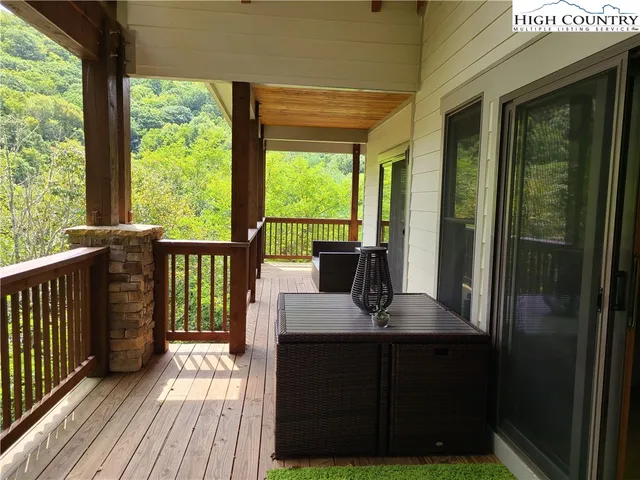 a view of a lush green forest