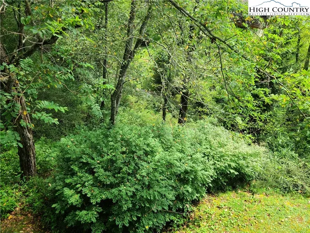 a view of a big yard with lots of green space