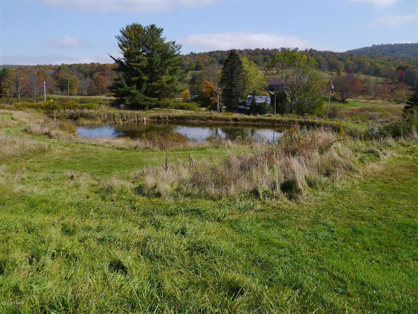695 Pine Mill Road Equinunk, PA 18417 - Photo 43 of 68