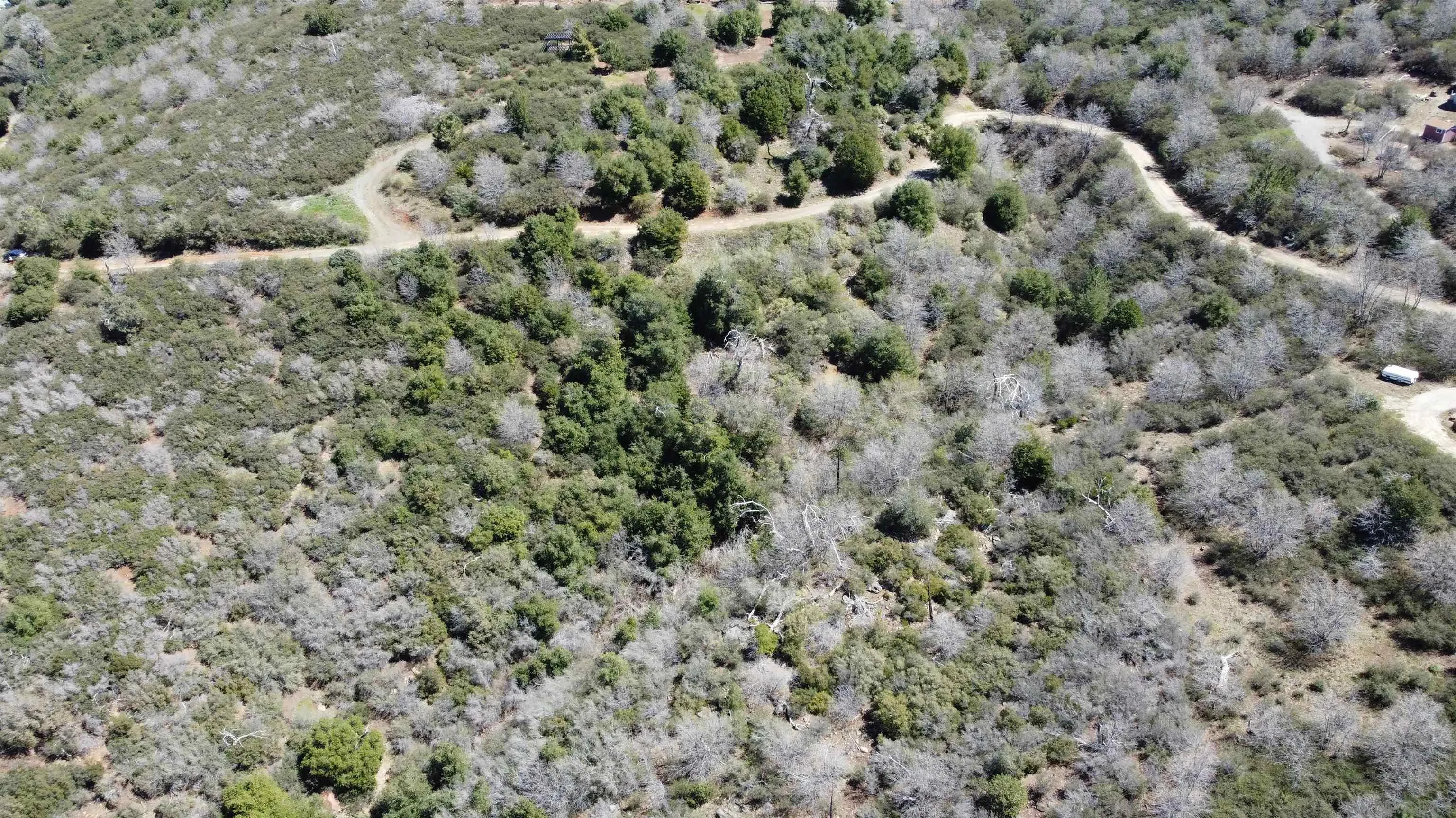 5253 Acorn Patch Road Julian, CA 92036 - Photo 2 of 18 a view of a field