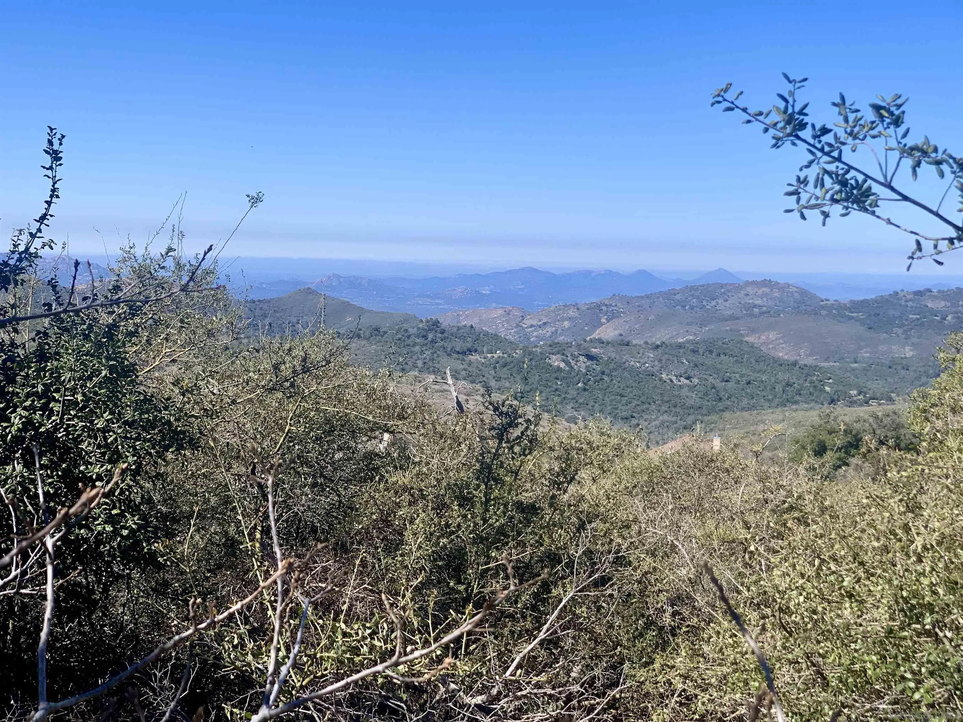 5253 Acorn Patch Road Julian, CA 92036 - Photo 5 of 18 a view of a yard with a mountain