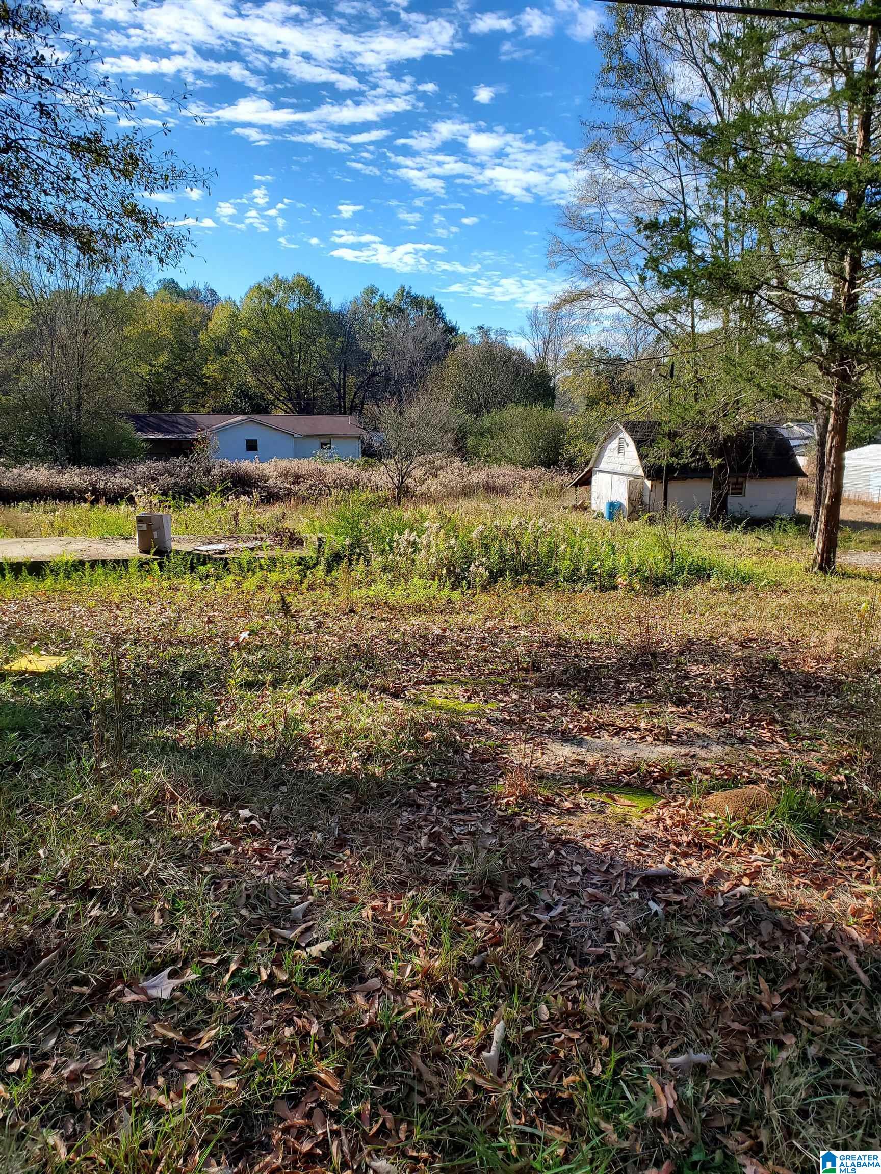 733 Taylors Chapel Road Anniston, AL 36201 - Photo 1 of 5