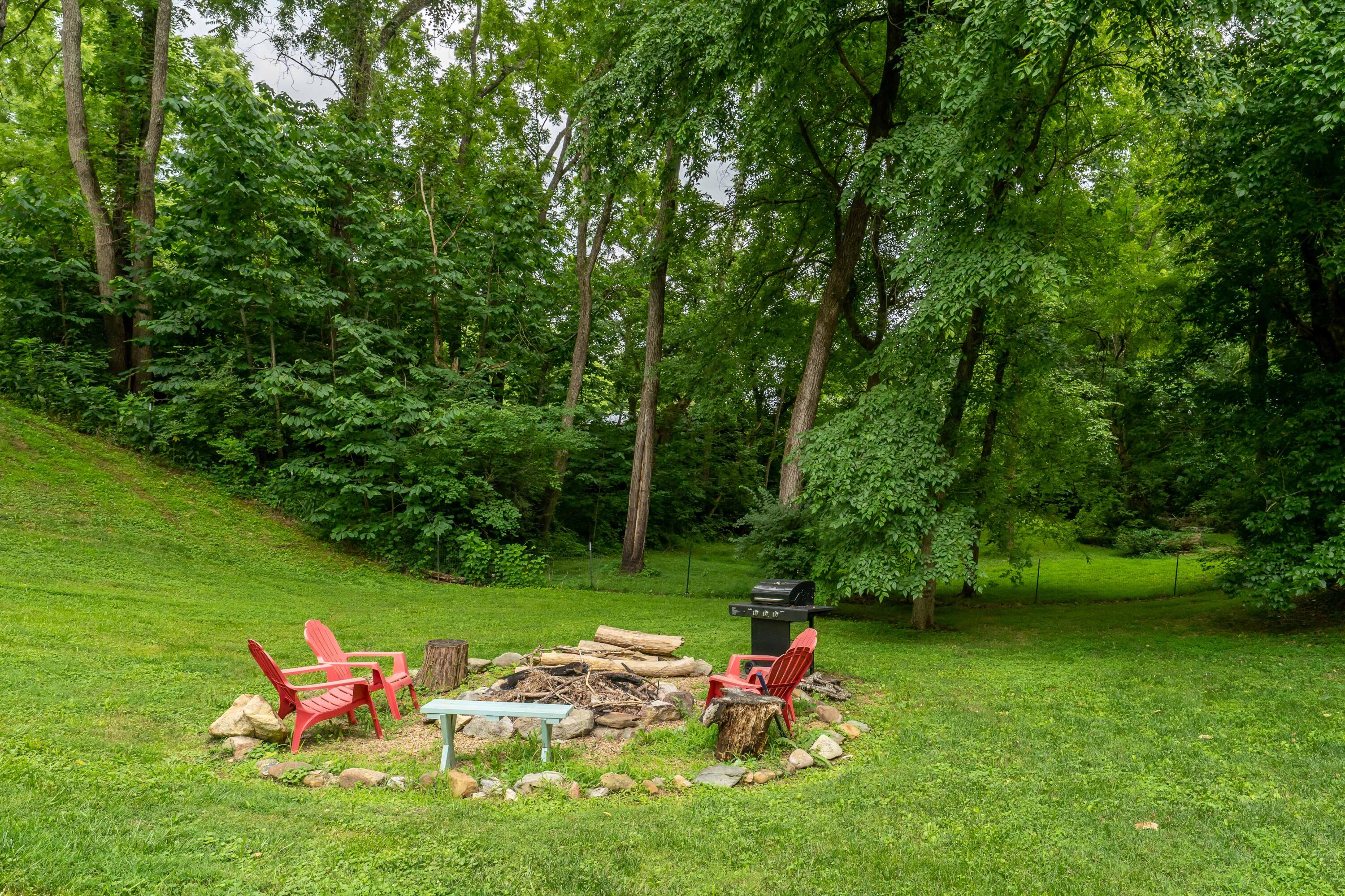240 Timber Ridge Road Bluff City, TN 37618 - Photo 17 of 58 240 Timber Ridge (18 of 59)