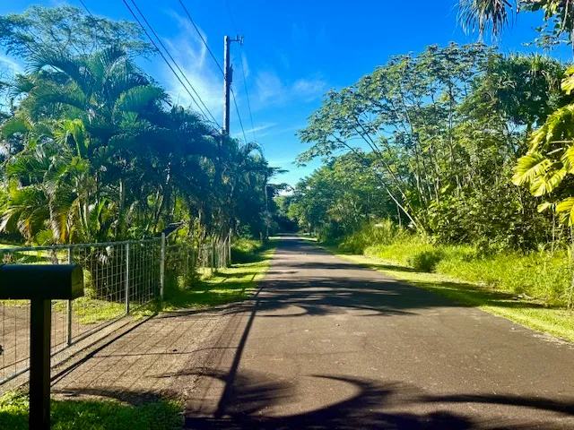 a view of backyard with green space