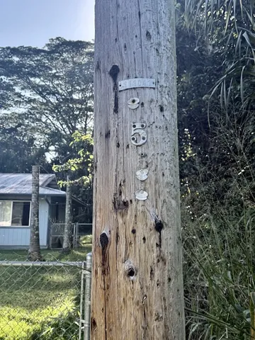 $22,750 | 1503 South Lot 1503 Oio Street, Pahoa, HI 96778