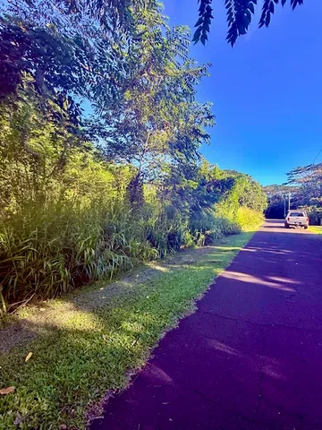 a view of an outdoor space and a yard