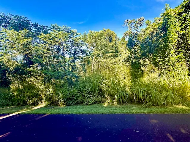 a view of outdoor space