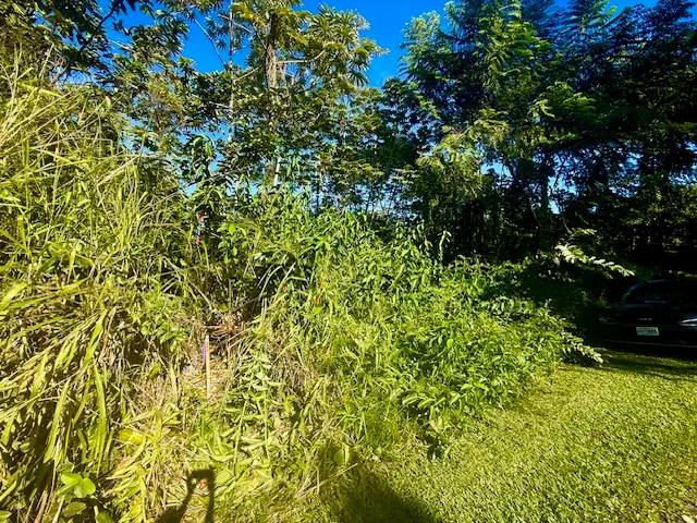 a view of yard with green space