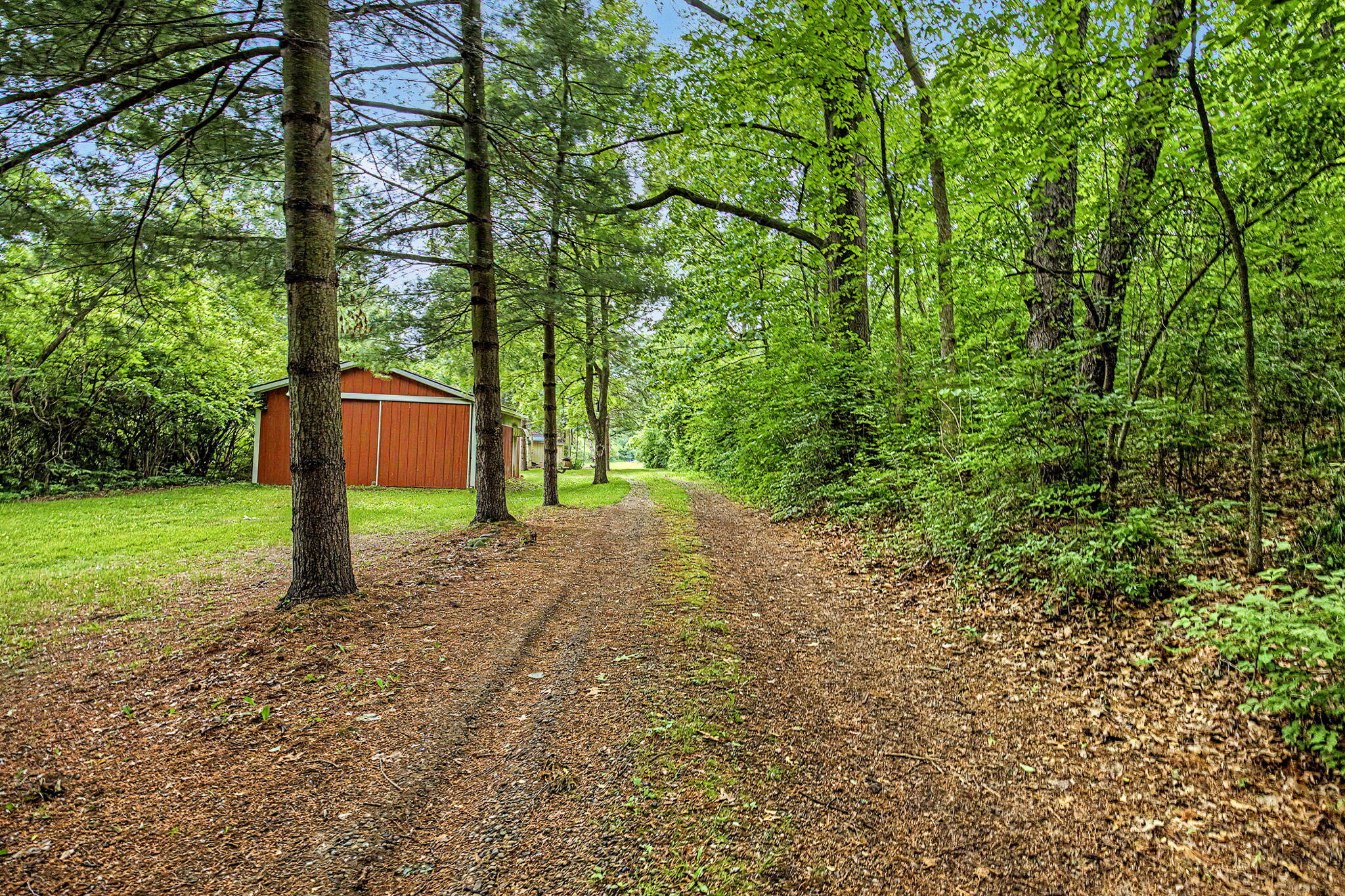 2800 Glasgow Road Jackson, MI 49201 - Photo 1 of 21 1-web-or-mls-CQ1A6545