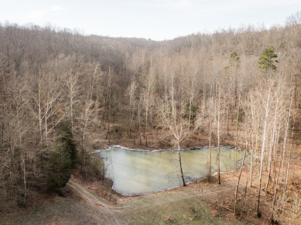3 Pinewood Road Nunnelly, TN 37137 - Photo 2 of 6 a view of a bathtub in a bathroom