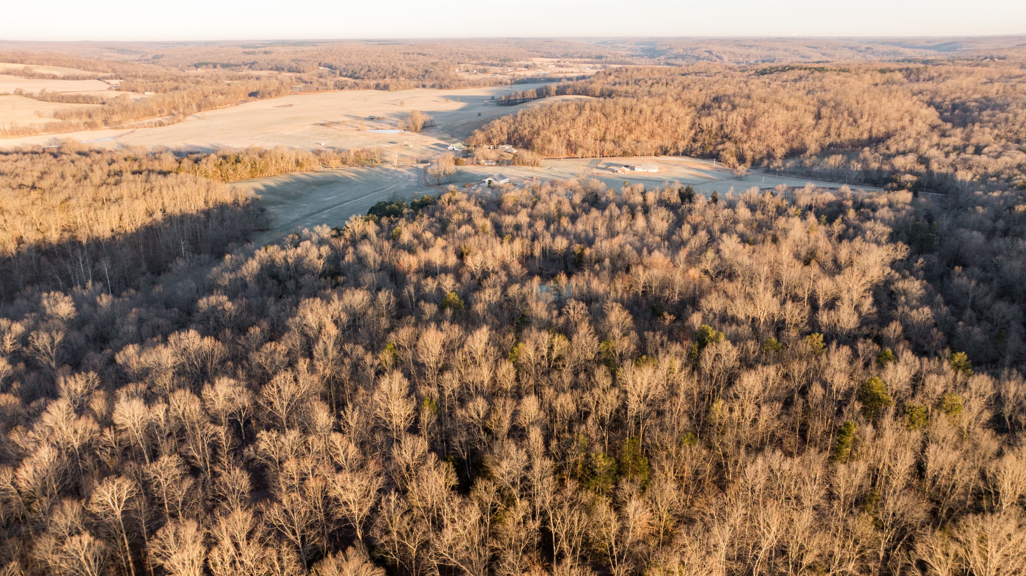 3 Pinewood Road Nunnelly, TN 37137 - Photo 3 of 6 a view of lake view and mountain