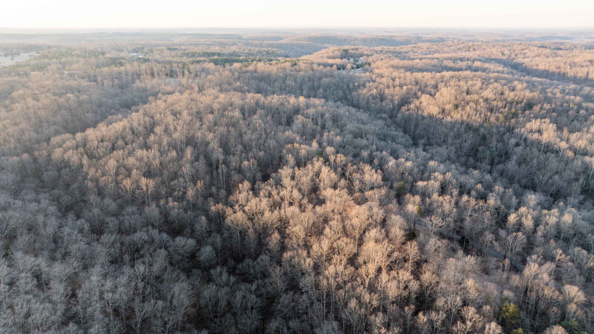 3 Pinewood Road Nunnelly, TN 37137 - Photo 4 of 6 a view of city and mountain