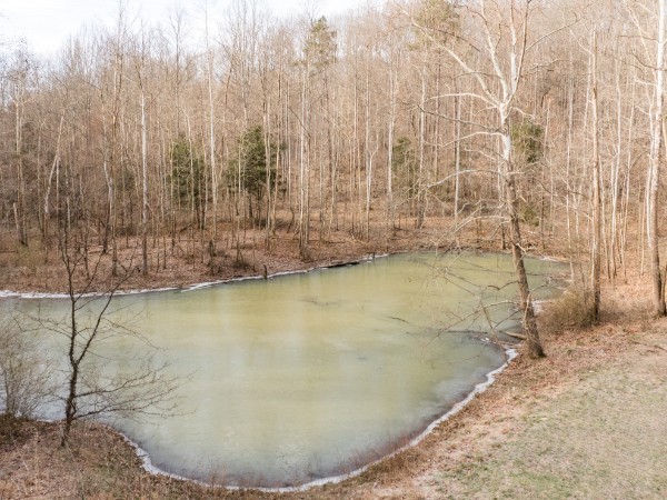 3 Pinewood Road Nunnelly, TN 37137 - Photo 6 of 6 a view of wooden floor