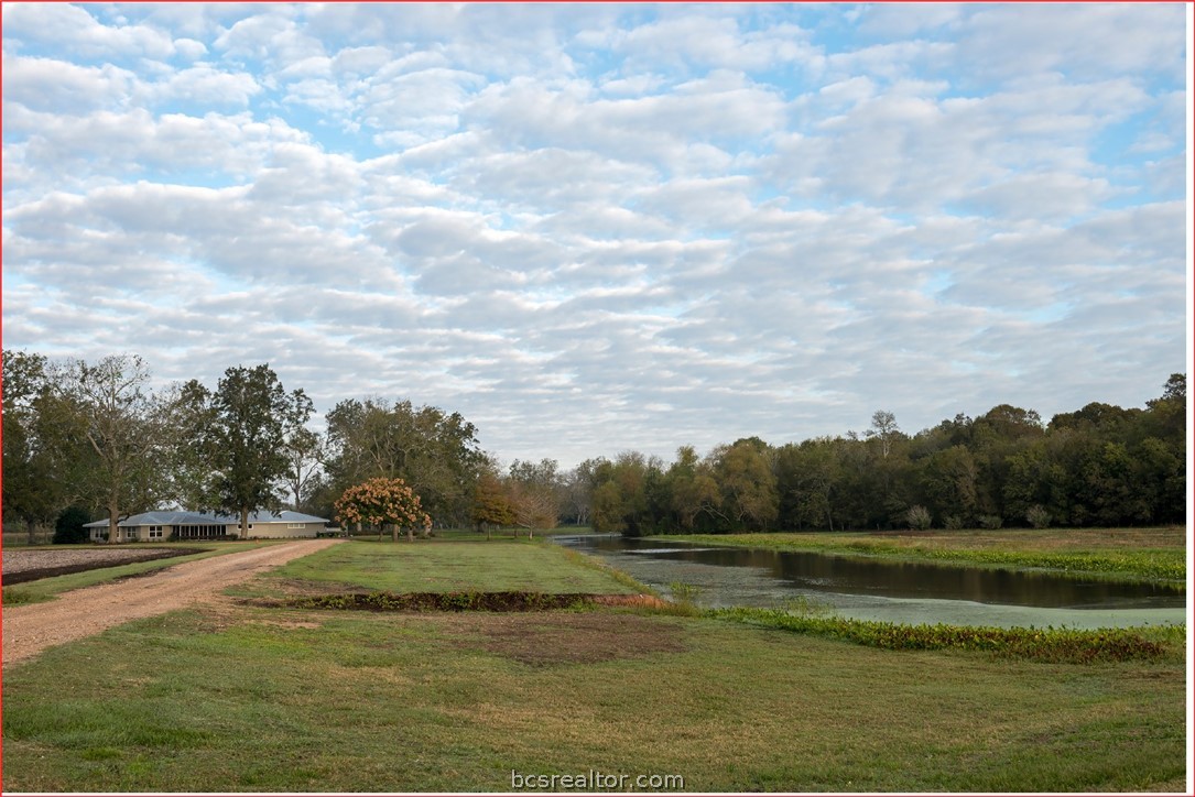 7654 County Road 121 Wharton, TX 77488 - Photo 19 of 39 a view of a grassy field with trees