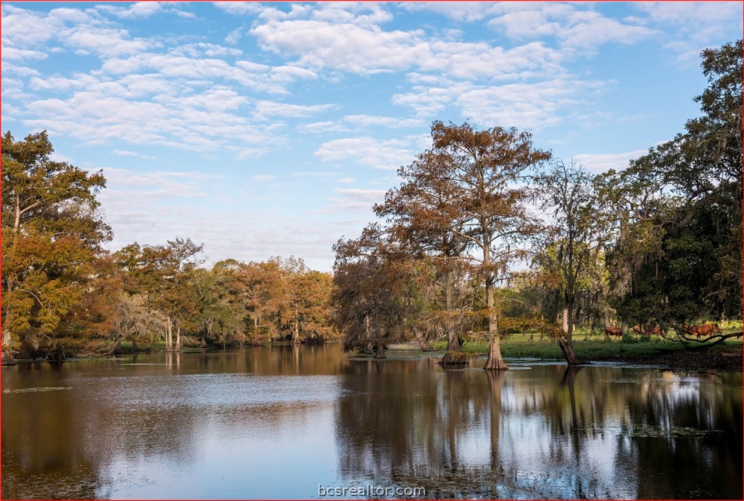 7654 County Road 121 Wharton, TX 77488 - Photo 27 of 39 a view of lake