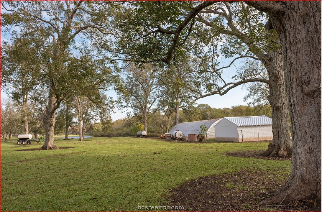 7654 County Road 121 Wharton, TX 77488 - Photo 4 of 39 a view of a tree in front of a house