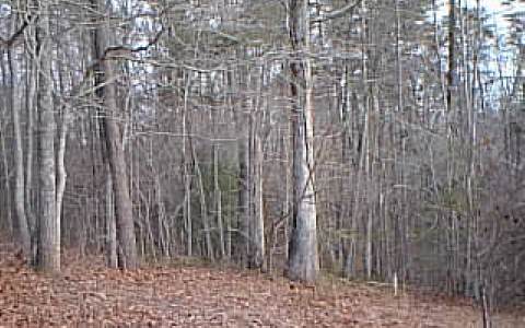 07 C & J Ranch Road Young Harris, GA 30582 - Photo 1 of 1 Main View