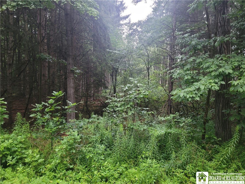 0 Wade Hill Road Gerry, NY 14740 - Photo 13 of 13 Gallery Image 13