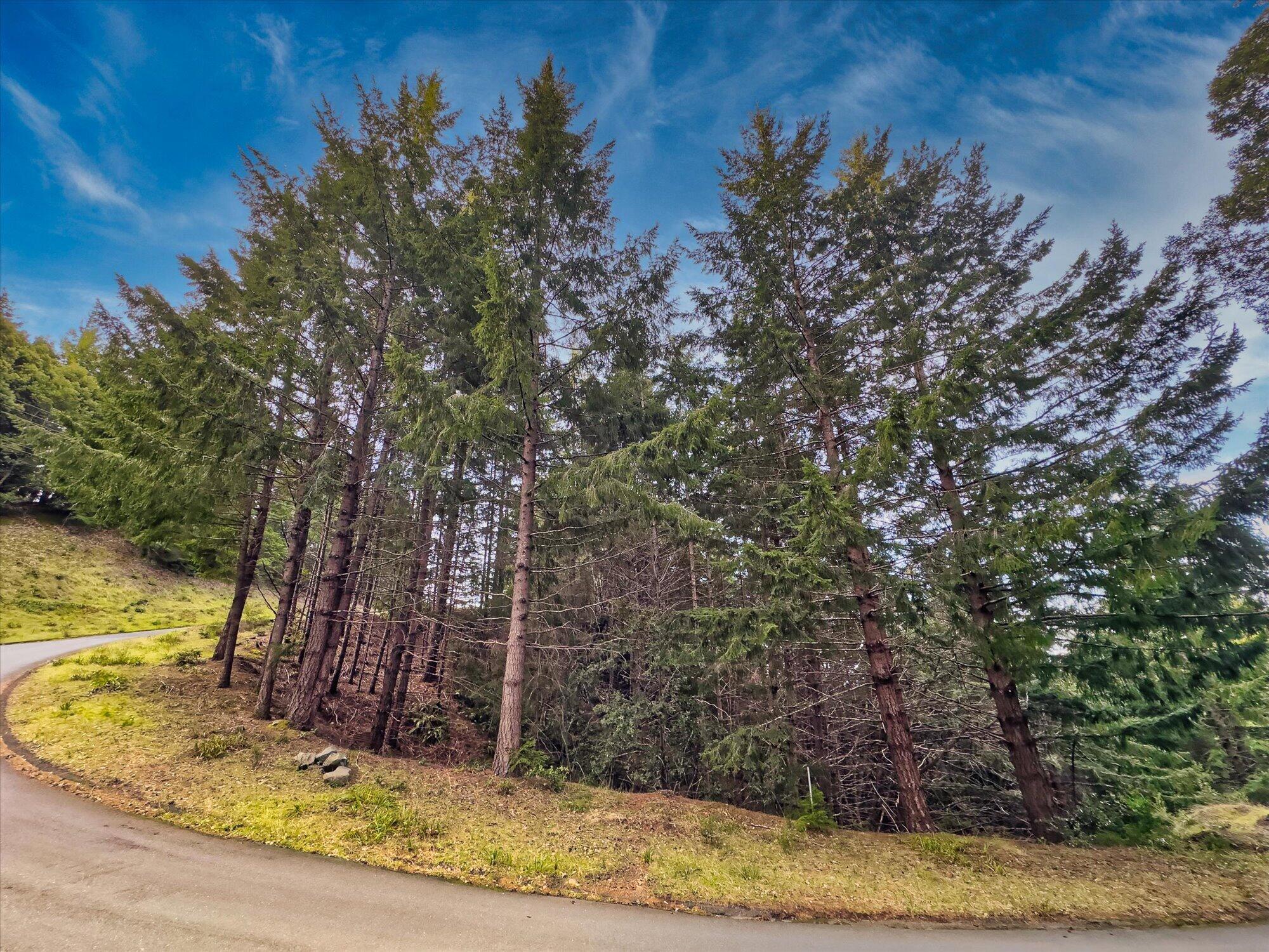 2215 Toth Road Shelter Cove, CA 95589 - Photo 13 of 14