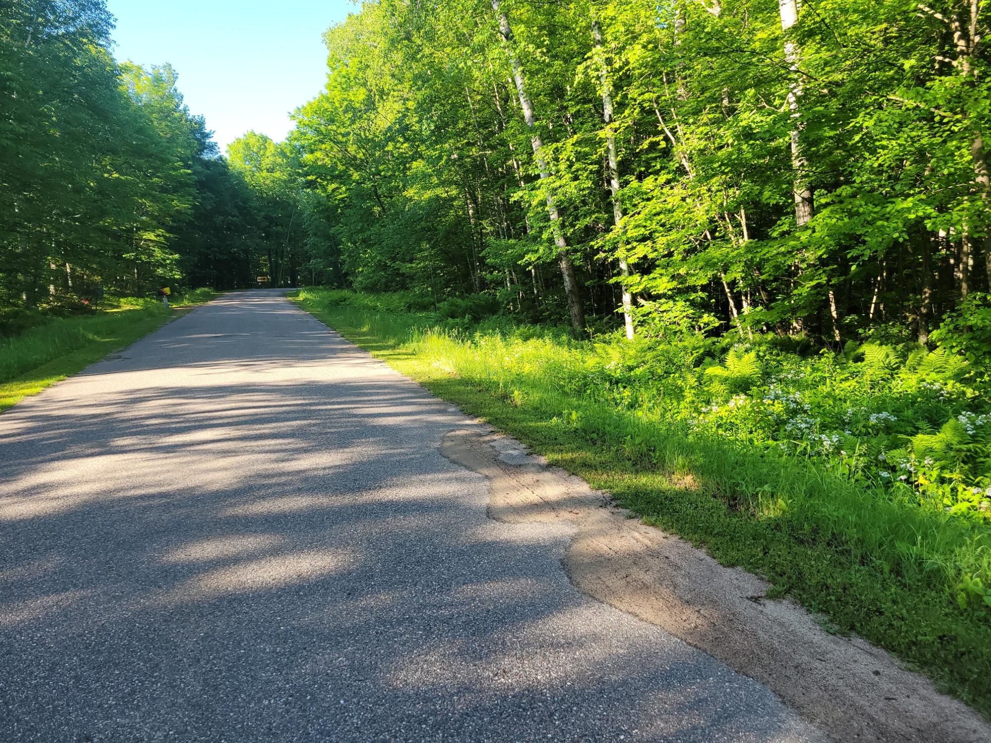 On Kentwoods Road, Unit LOT 12 Bryant, WI 54418 - Photo 2 of 3 Gallery Image 2