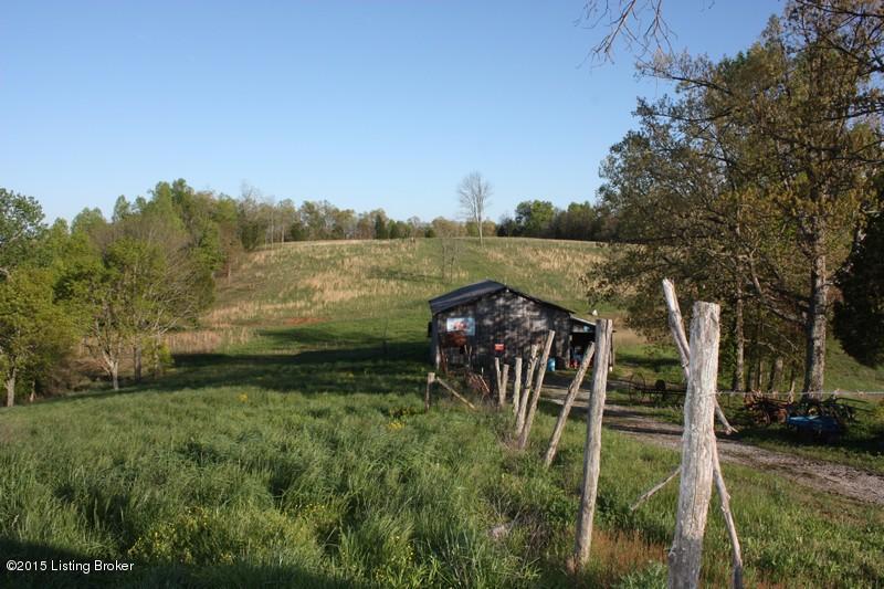 1443 Junction Road Falls Of Rough, KY 40119 - Photo 31 of 55 56Jerry Davis auction Pics