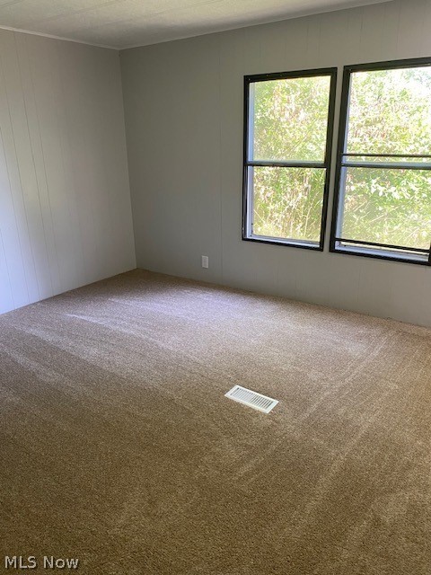 5854 Cleveland Road, Unit 41 Wooster, OH 44691 - Photo 7 of 7 Spare room featuring carpet floors and plenty of natural light