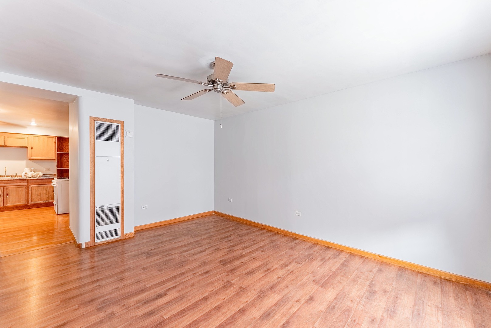 1019 West 18th Street Chicago, IL 60608 - Photo 4 of 26 a view of empty room with wooden floor