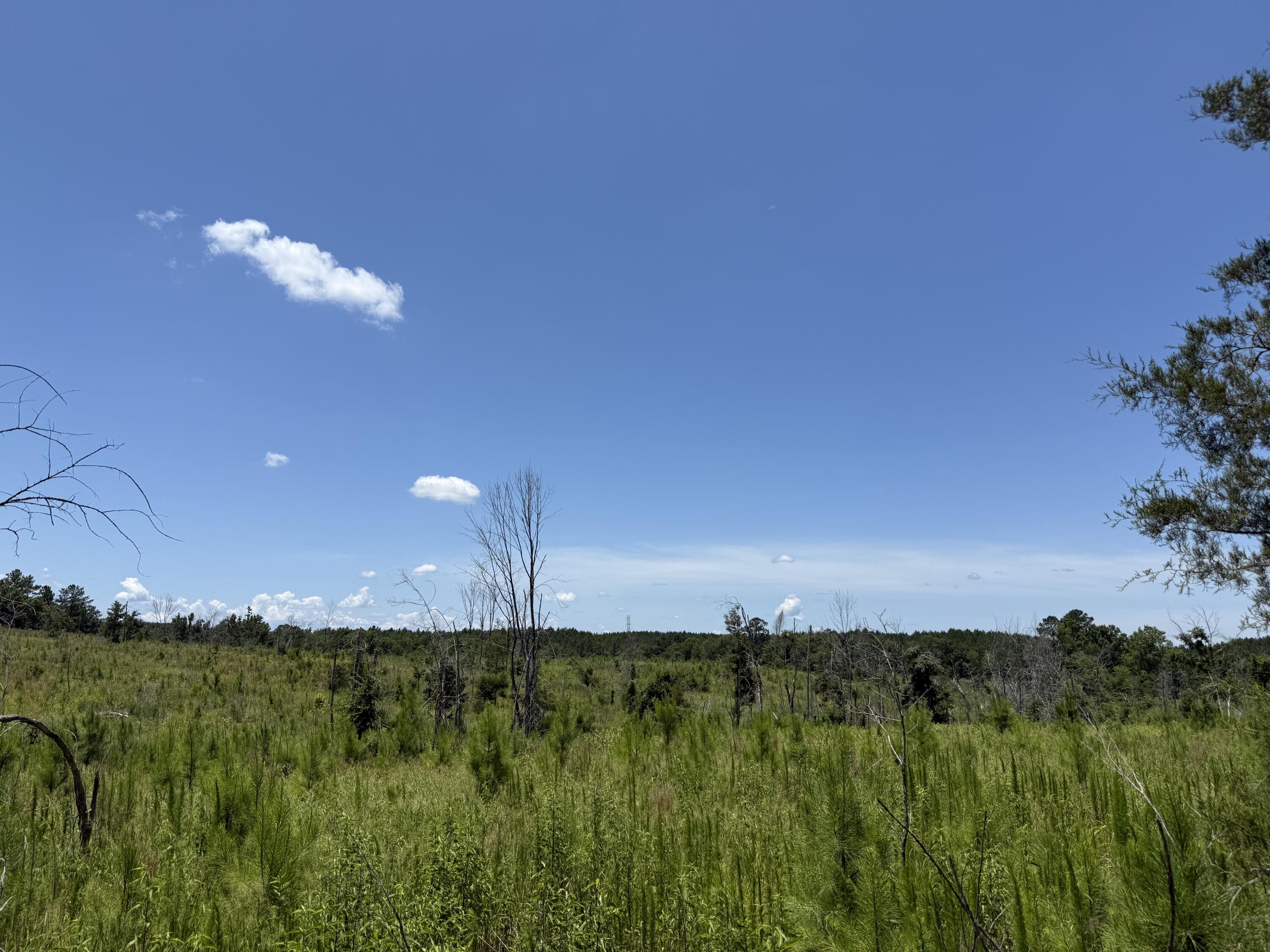 0 Halsellville Road Chester, SC 29706 - Photo 11 of 13 Photo Jun 20, 1 11 31 PM