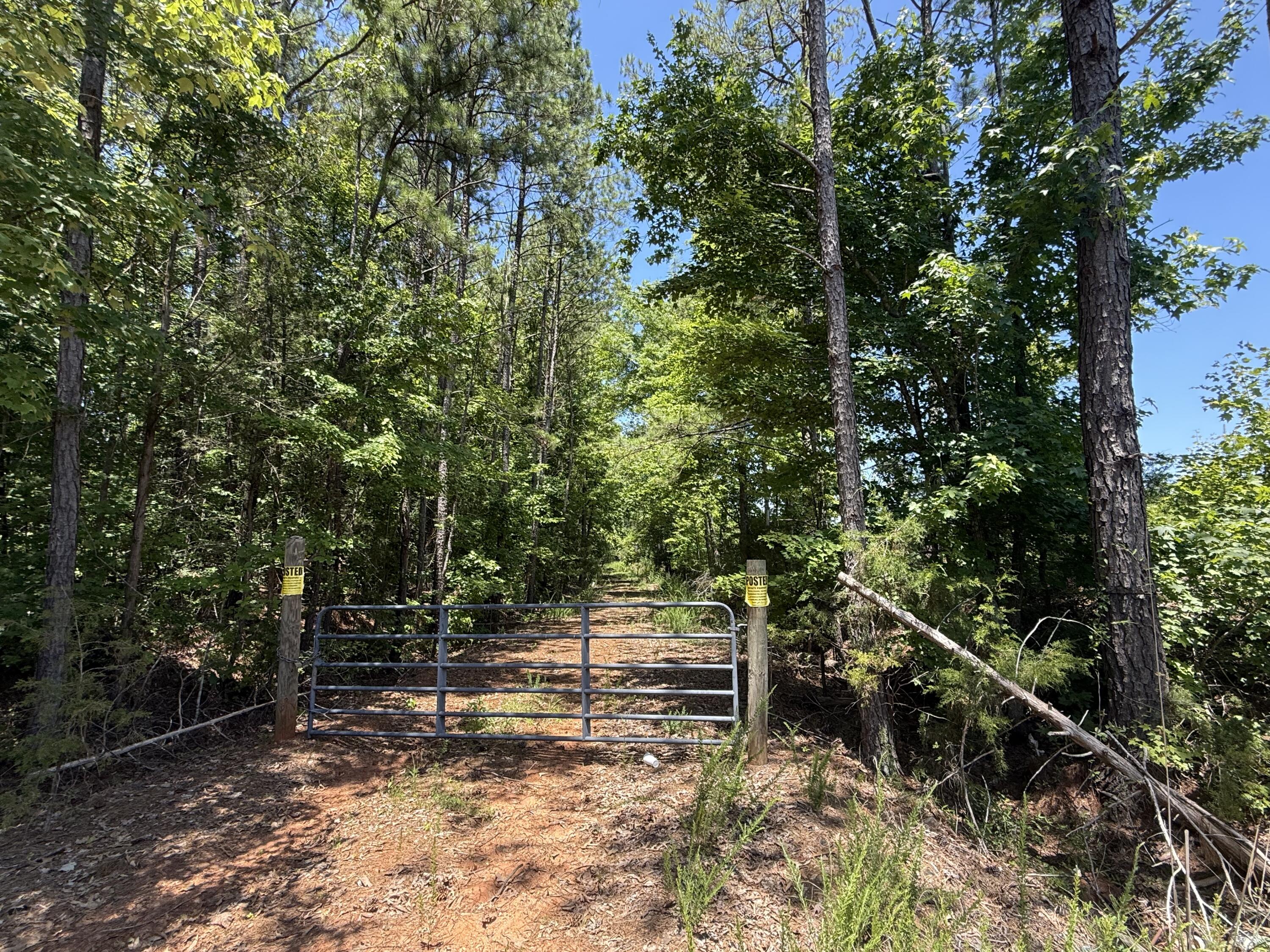 0 Halsellville Road Chester, SC 29706 - Photo 12 of 13 Photo Jun 20, 12 54 49 PM