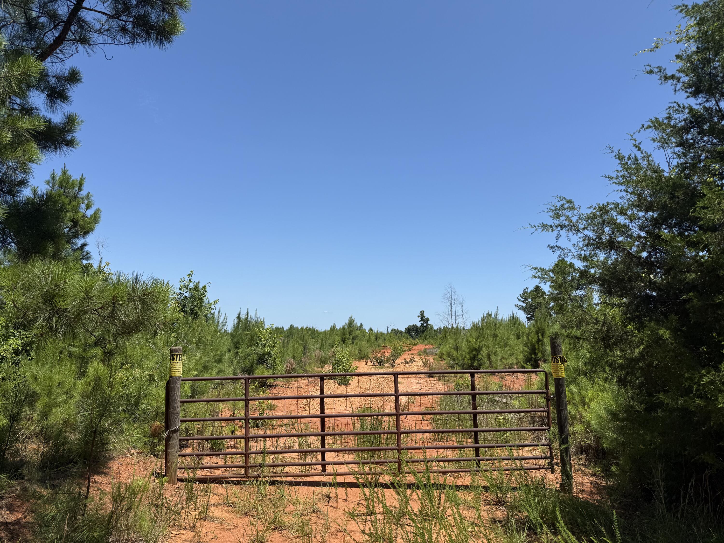 0 Halsellville Road Chester, SC 29706 - Photo 13 of 13 Photo Jun 20, 12 55 19 PM