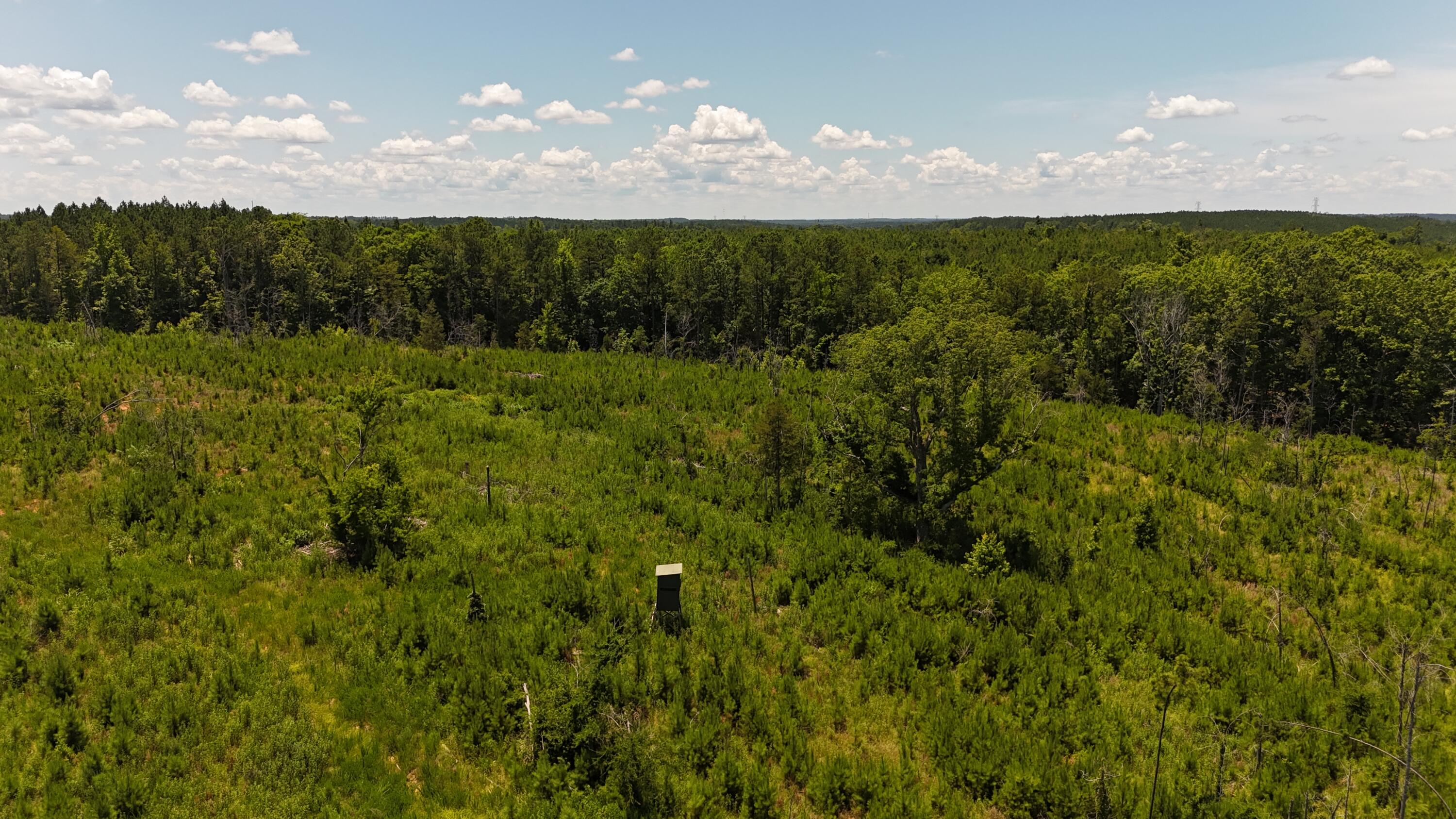 0 Halsellville Road Chester, SC 29706 - Photo 3 of 13 DJI_20250620132026_0083_D