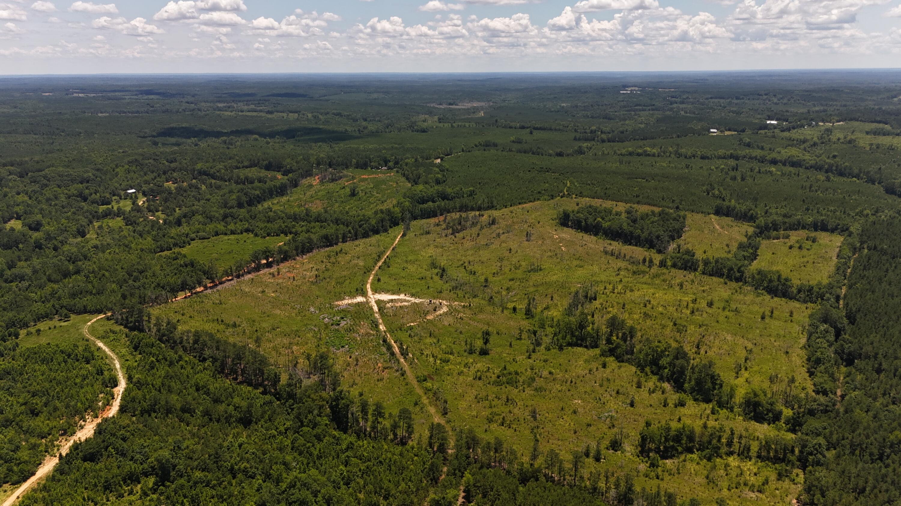 0 Halsellville Road Chester, SC 29706 - Photo 4 of 13 DJI_20250620132215_0084_D