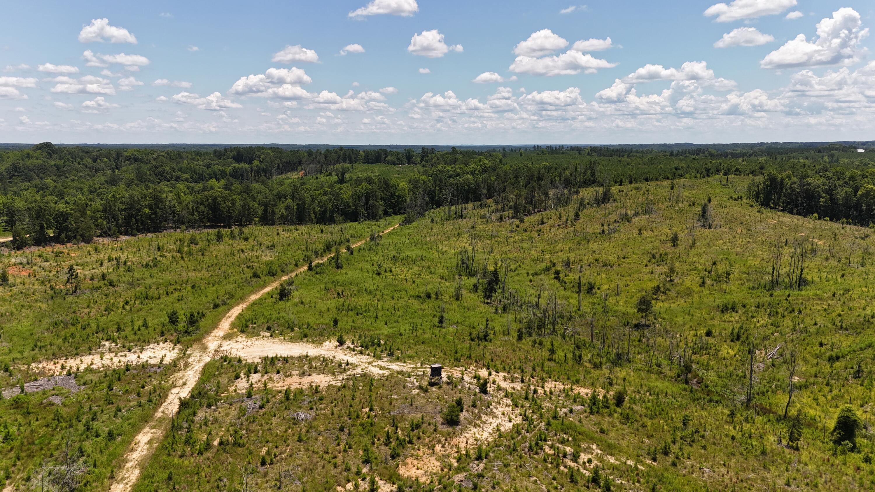0 Halsellville Road Chester, SC 29706 - Photo 5 of 13 DJI_20250620132307_0086_D